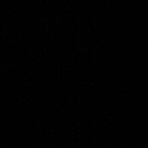 Meet your Posher, Sammy